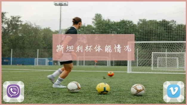 斯坦利杯体能情况