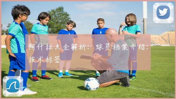 阿什拉夫全解析：球员档案介绍：技术标签