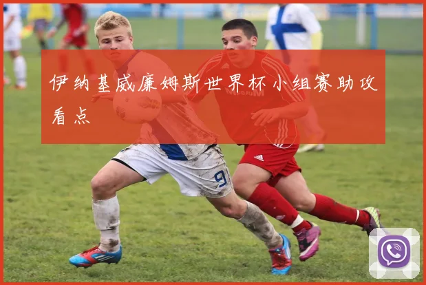 伊纳基威廉姆斯世界杯小组赛助攻看点
