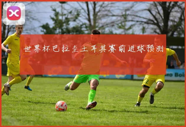 世界杯巴拉圭土耳其赛前进球预测